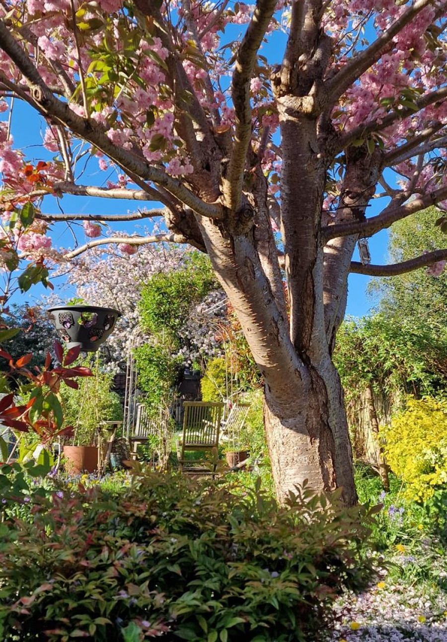 Images for Marshfield Road, Chippenham