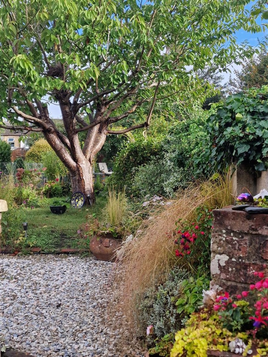 Images for Marshfield Road, Chippenham