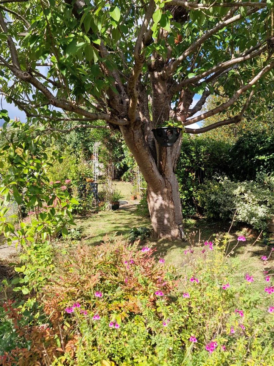 Images for Marshfield Road, Chippenham
