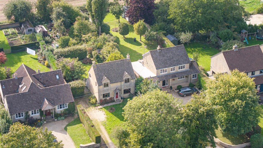 Images for Nettleton Shrub, Nettleton