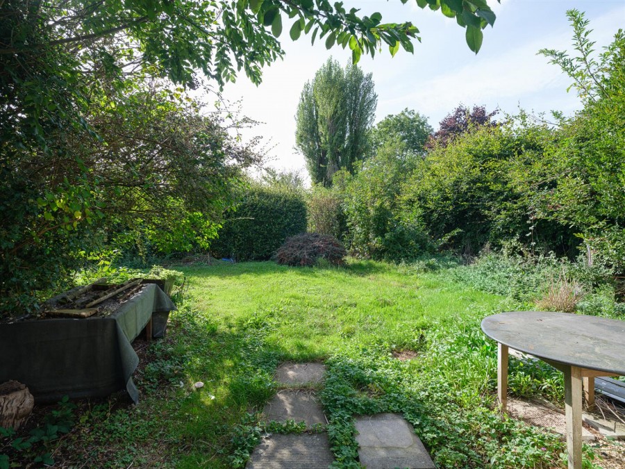 Images for Nettleton Shrub, Nettleton
