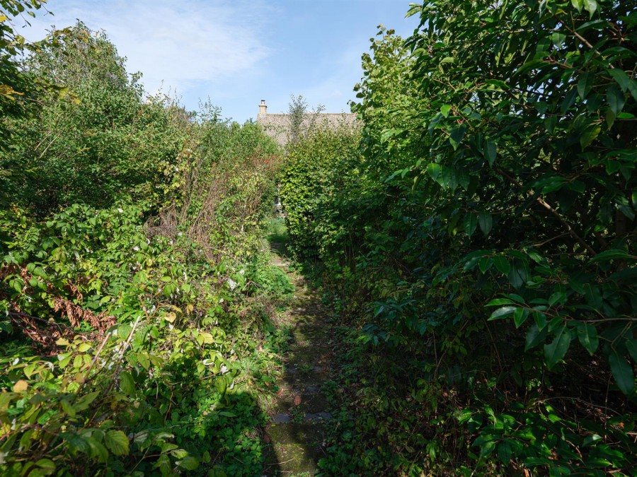 Images for Nettleton Shrub, Nettleton