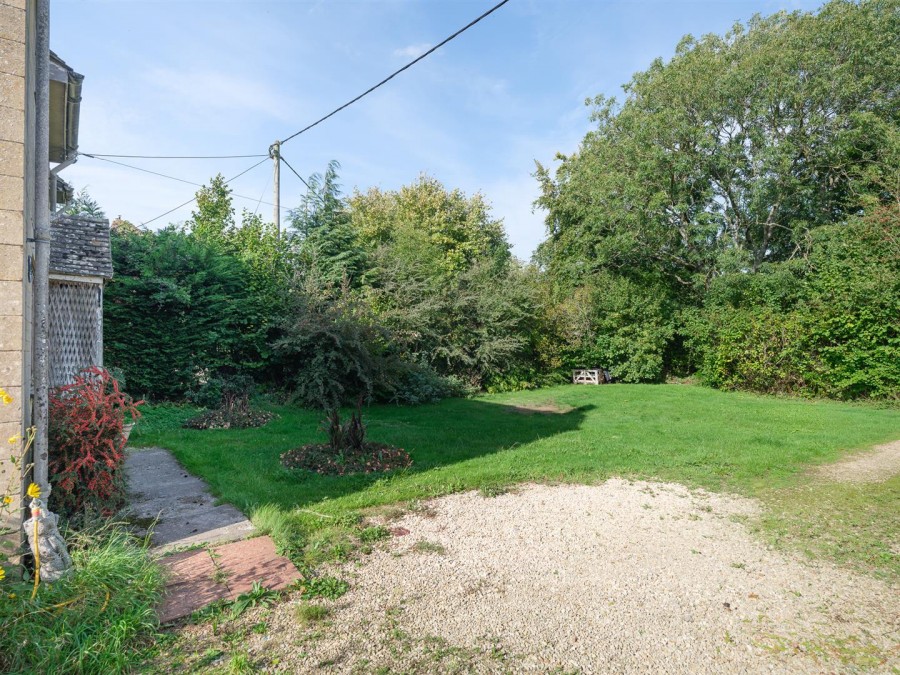 Images for Nettleton Shrub, Nettleton